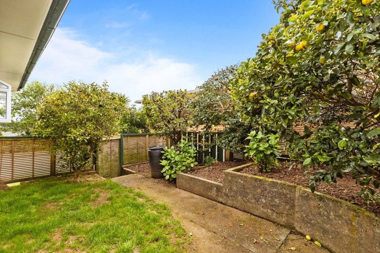 Photo of property in 273 Tukapa Street, Hurdon, New Plymouth, 4310