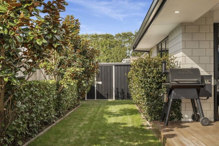 Photo of property in 14c No 2 Road, Te Puke, 3119