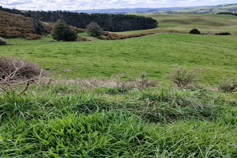 Photo of property in 403 Maungatawhiri Road, Raglan, 3295