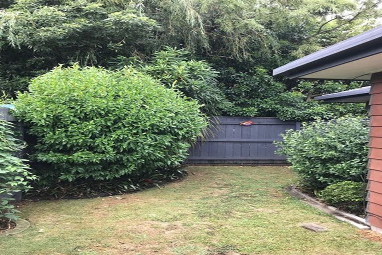 Photo of property in 7 Moffat Way, Bethlehem, Tauranga, 3110