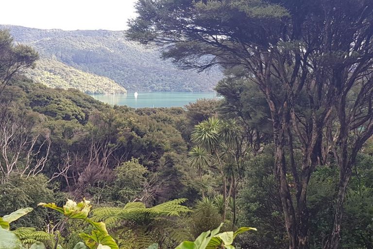 Photo of property in 35c Old Hospital Road, Whangaroa, Kaeo, 0478