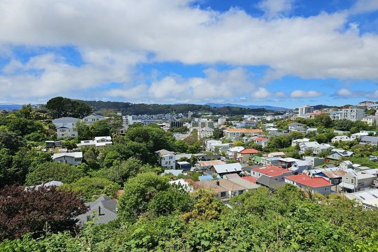 Photo of property in 14 Essex Street, Aro Valley, Wellington, 6021