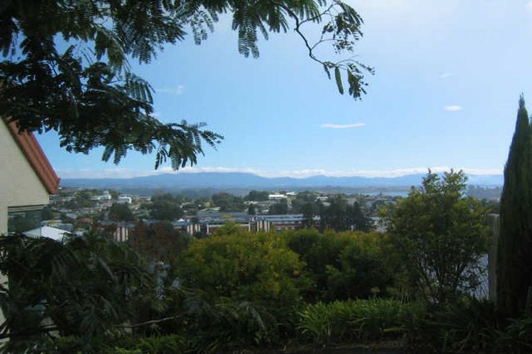 Photo of property in 29 Hazelnut Way, Bellevue, Tauranga, 3110