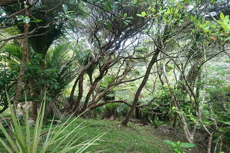 Photo of property in 77 Karekare Road, Karekare, Auckland, 0772