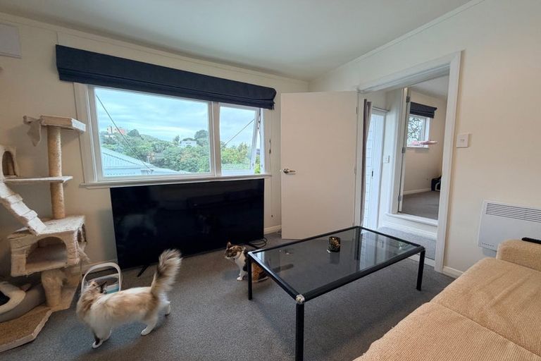 Photo of property in 8 Alameda Terrace, Aro Valley, Wellington, 6021