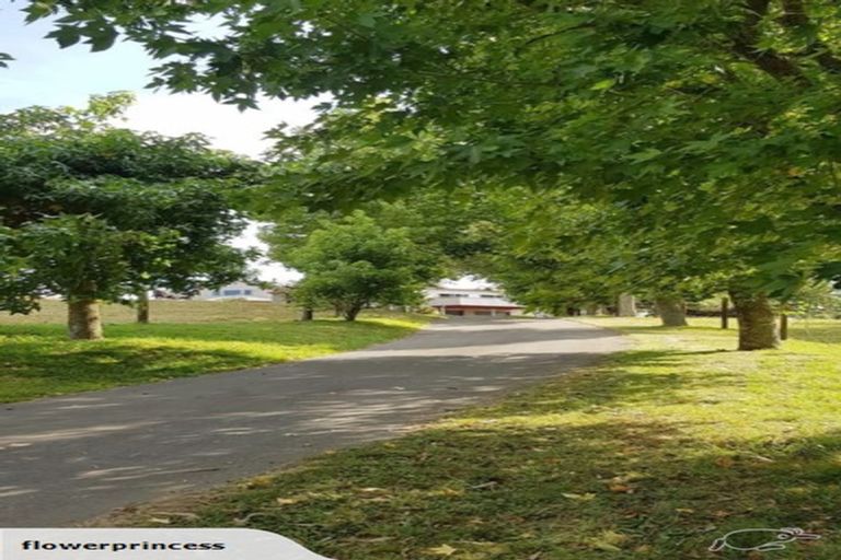 Photo of property in 491 Palmer Mill Road, Wairakei, Taupo, 3384