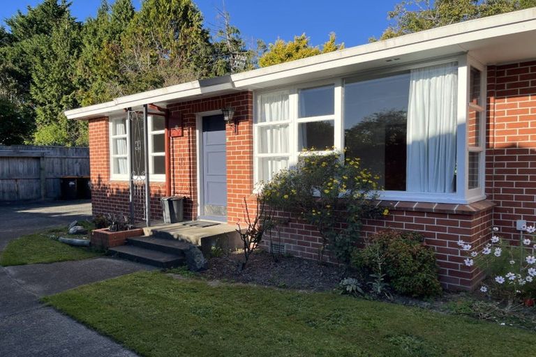Photo of property in 17 Centennial Drive, Hokowhitu, Palmerston North, 4410