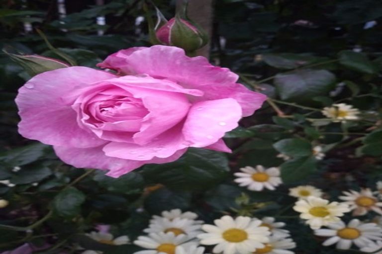 Photo of property in 121 Wainuiomata Road, Wainuiomata, Lower Hutt, 5014