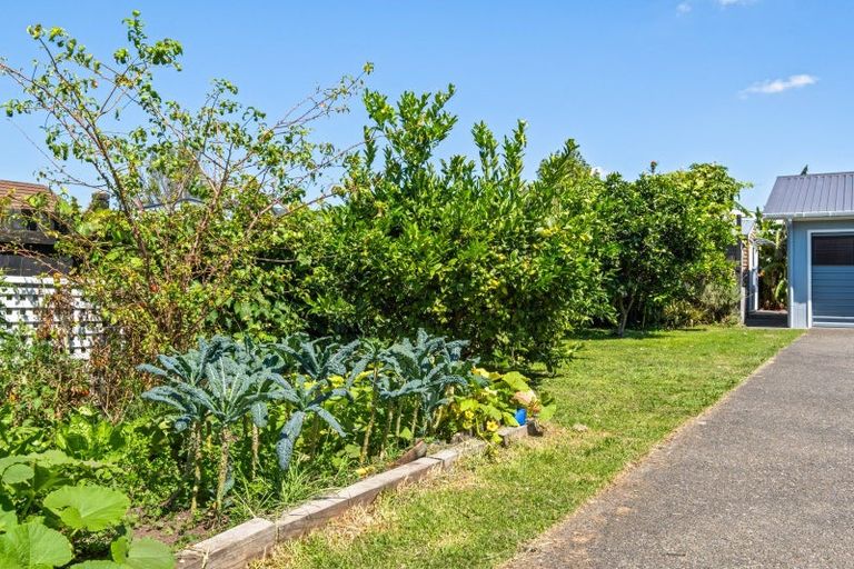 Photo of property in 3 Queens Road, Elgin, Gisborne, 4010