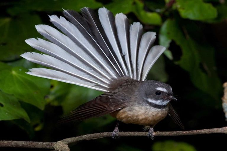 Photo of property in 91a Bald Hill Road, Waiuku, Pukekohe, 2678