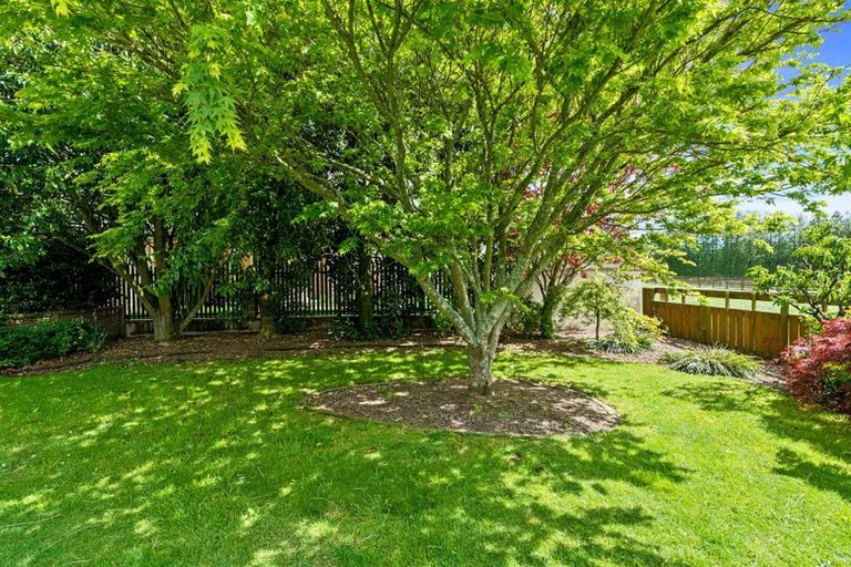 Photo of property in 11 Mannix Place, Matamata, 3400