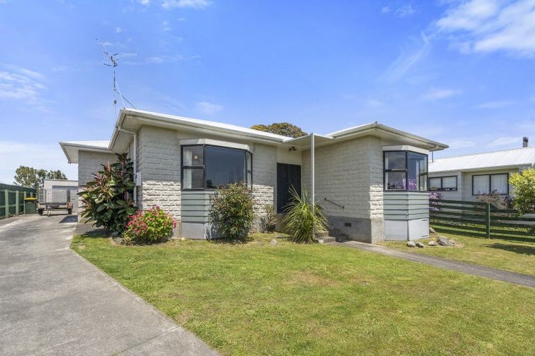Photo of property in 7 Douglas Street, Levin, 5510