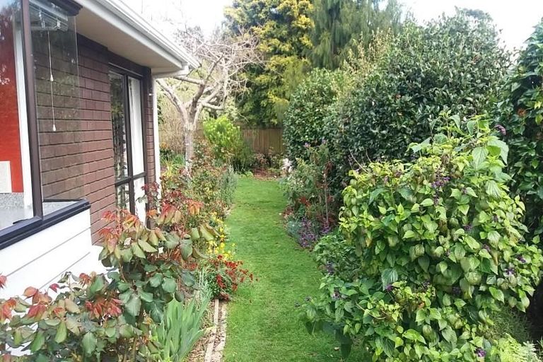 Photo of property in 116 Belvedere Avenue, Waikanae, 5036