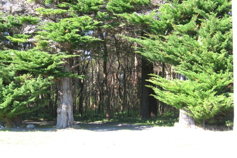 Photo of property in 90 Watt Street, Featherston, 5710