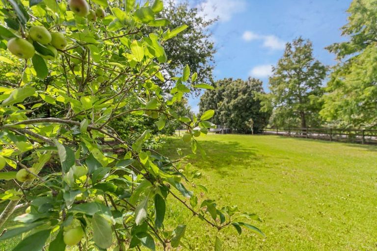 Photo of property in 56 Te Pua School Road, Helensville, 0875