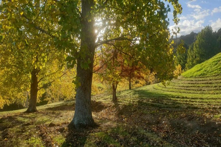 Photo of property in 58 Waiotahi Drive, Mangawhai, 0573