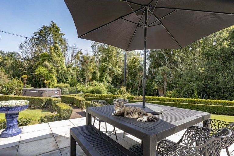 Photo of property in 10 Hossack Close, Belfast, Christchurch, 8051