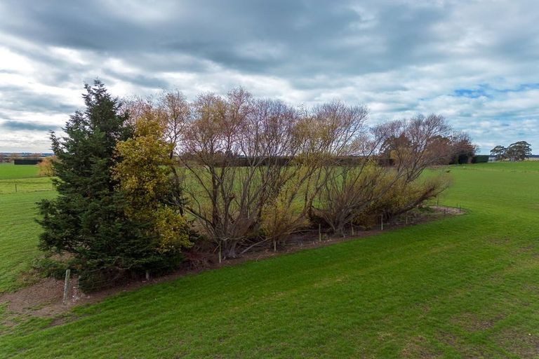 Photo of property in 179 Mcnamaras Road, Waimate, 7979