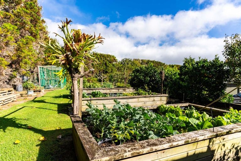 Photo of property in 81 Avocado Lane, Mangawhai, Wellsford, 0975