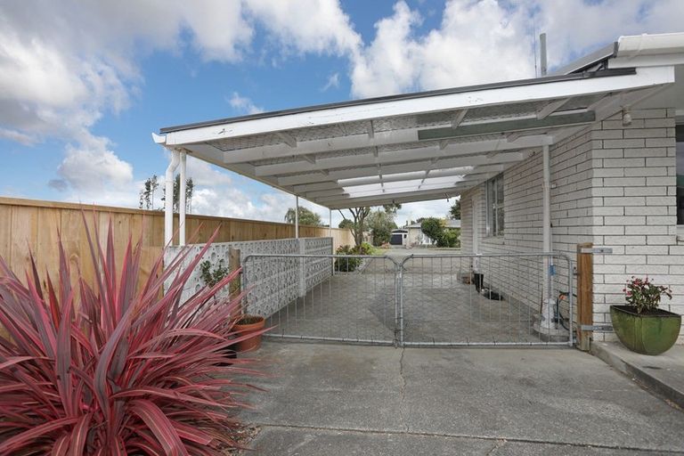 Photo of property in 9 Dalrymple Place, Marton, 4710