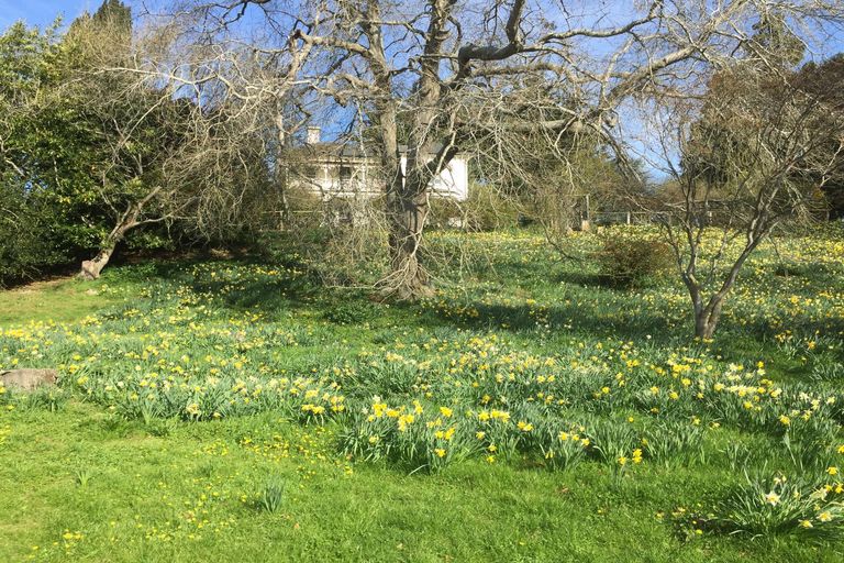Photo of property in Belvoir House, 169 Mcnamaras Road, Waimate, 7979