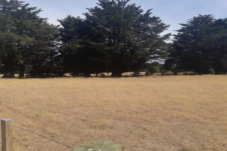 Photo of property in 171 Bidwills Cutting Road, Morison Bush, Greytown, 5794