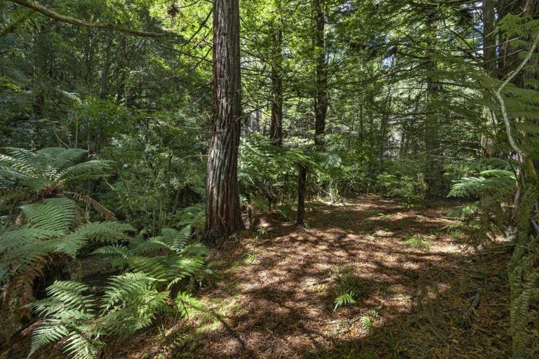 Photo of property in 944 Old Mountain Road, Waitetuna, Raglan, 3295