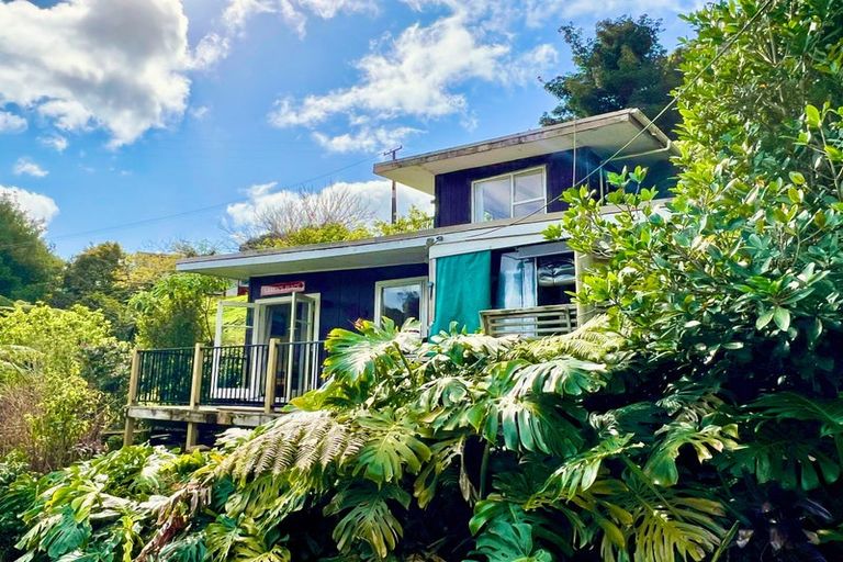 Photo of property in 24 Adlor Hill Road, Port Charles, Coromandel, 3584