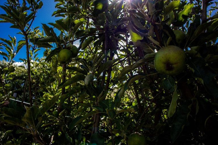 Photo of property in 8 Gundry Street, Rawene, Kaikohe, 0473