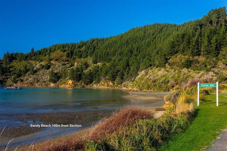 Photo of property in 1476 Port Underwood Road, Port Underwood, Picton, 7281