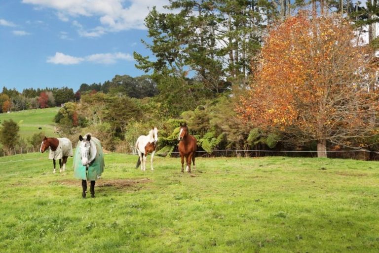 Photo of property in 45 Brewster Road, Pukekawa, Tuakau, 2696
