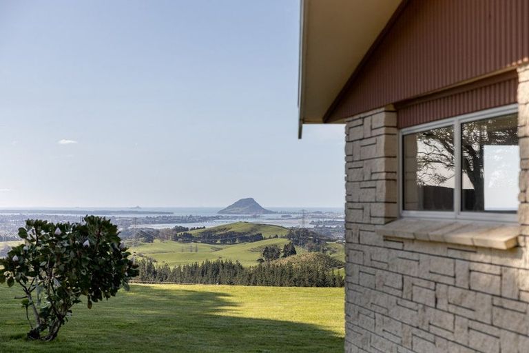 Photo of property in 565c Upper Ohauiti Road, Ohauiti, Tauranga, 3173