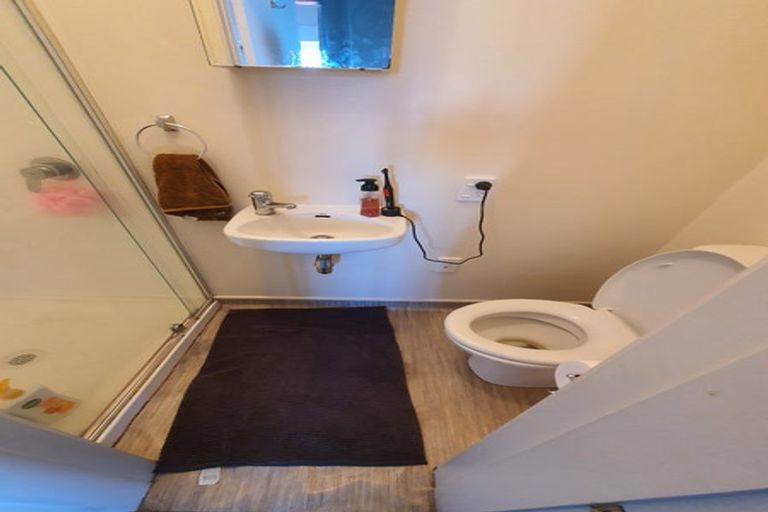 Photo of property in 41 Hankey Street, Mount Cook, Wellington, 6011