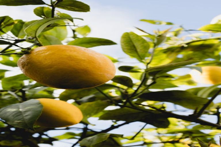 Photo of property in 13 Diamond Street, Carterton, 5713