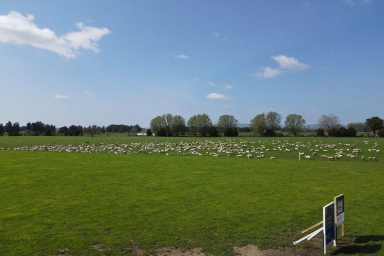 Photo of property in 117 Chamberlain Road, Te Awamutu, Cambridge, 3879