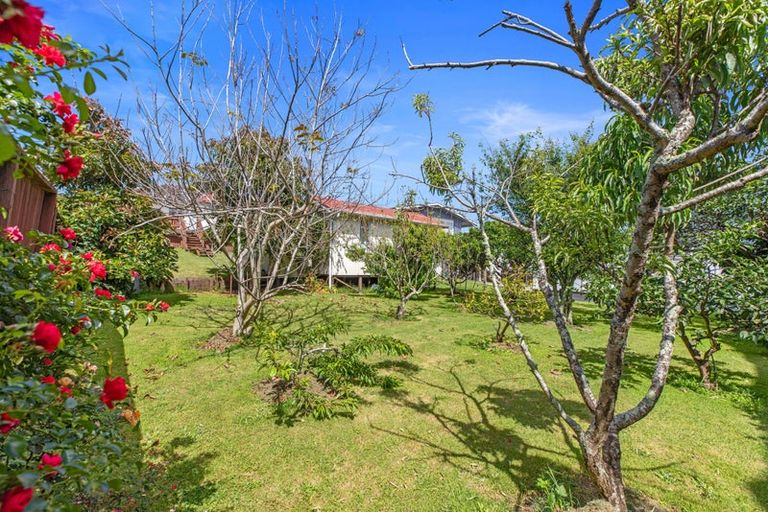Photo of property in 491 Maunganui Road, Mount Maunganui, 3116