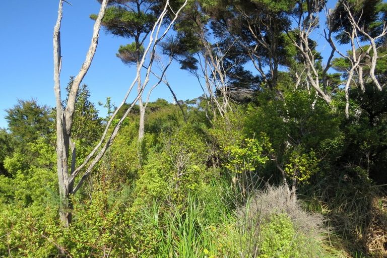 Photo of property in 614 Wyuna Bay Road, Wyuna Bay, Coromandel, 3581