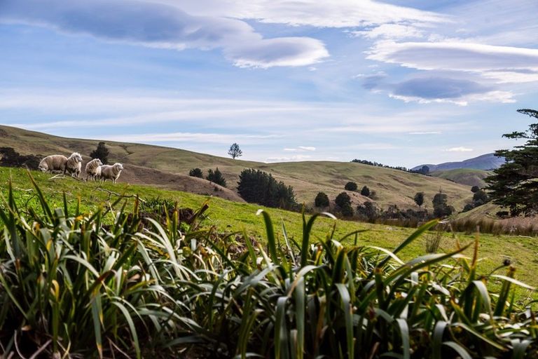 Photo of property in 147 Mangatuna Road, Weber, Dannevirke, 4970