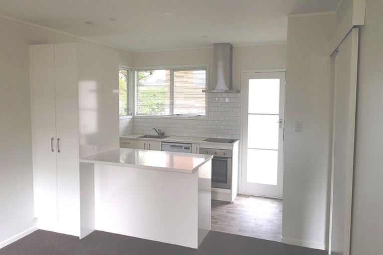 Photo of property in 20 Stanaway Street, Hillcrest, Auckland, 0627