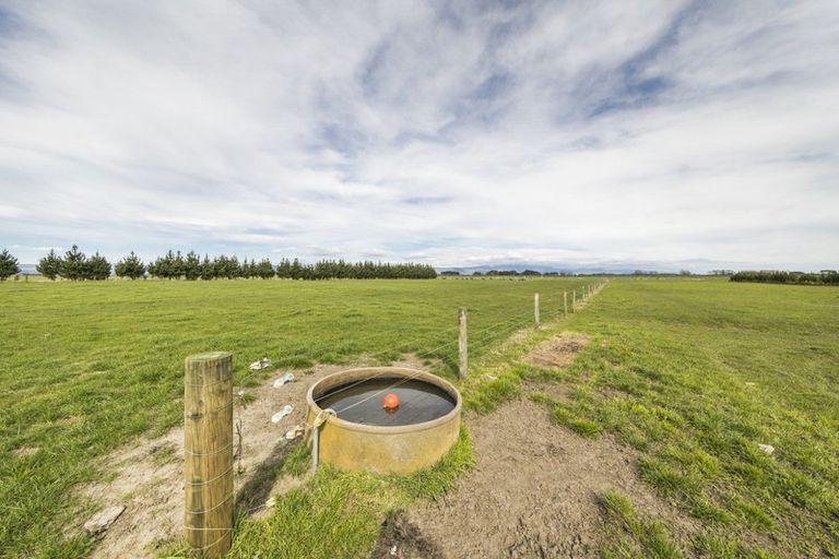 Photo of property in 265 Hoihere Road, Tiakitahuna, Palmerston North, 4477