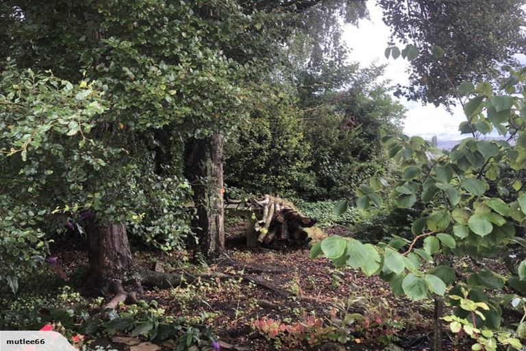 Photo of property in 49 Blaydon Street, Waikaia, 9778