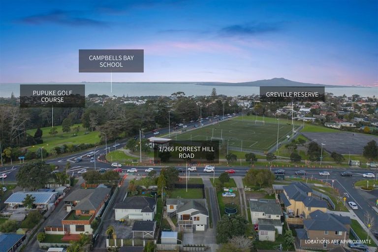 Photo of property in 1/266 Forrest Hill Road, Forrest Hill, Auckland, 0620