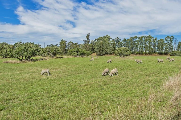 Photo of property in 2394 Old West Coast Road, Kirwee, Christchurch, 7671