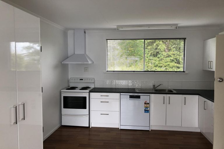 Photo of property in 321 Albert Street, Hokowhitu, Palmerston North, 4410