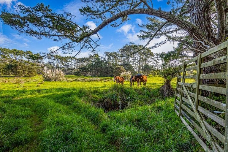 Photo of property in 276 Taiapa Road, Muriwai, 0881