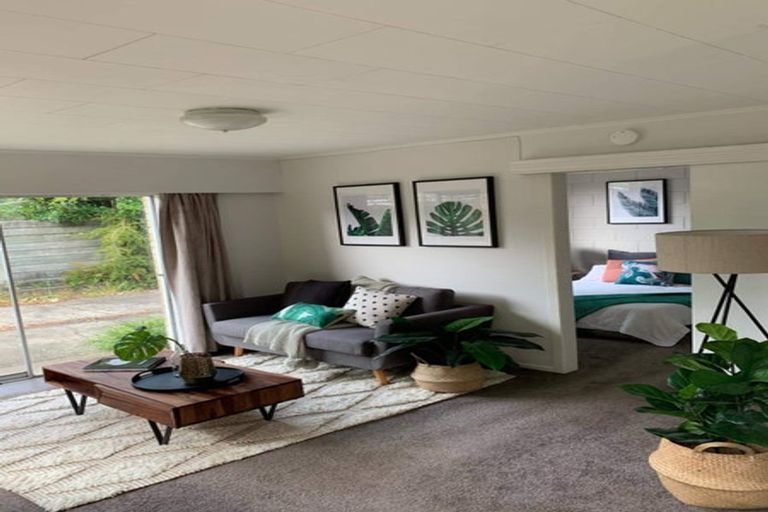 Photo of property in 11 Whyte Street, Hamilton East, Hamilton, 3216