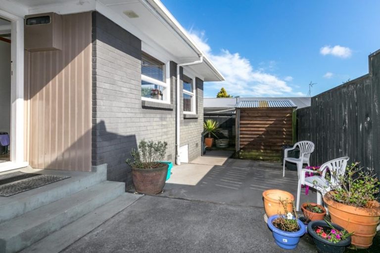 Photo of property in 100 Storey Avenue, Forest Lake, Hamilton, 3200