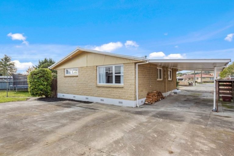 Photo of property in 17 Alana Place, Witherlea, Blenheim, 7201