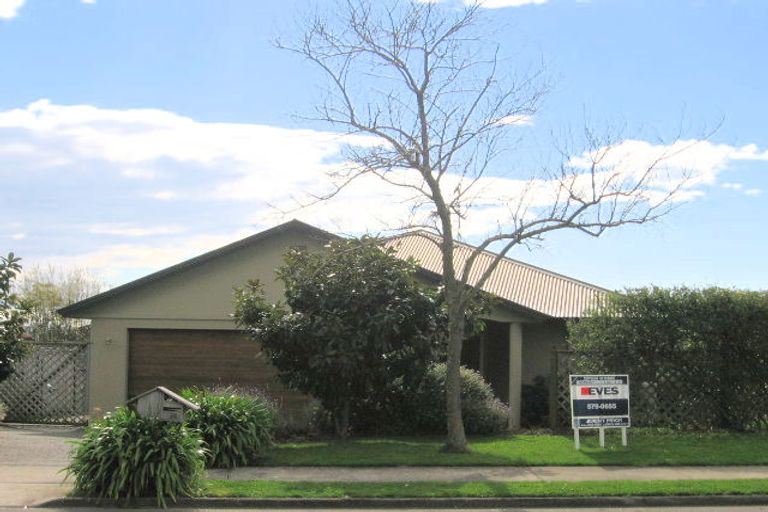 Photo of property in 14 Rowesdale Drive, Ohauiti, Tauranga, 3112