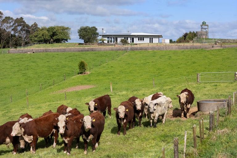 Photo of property in 291 Rea Road, Tahawai, 3178